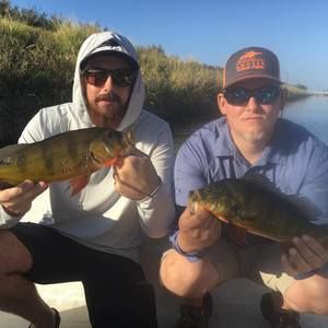 Meet your Posher, Brandon